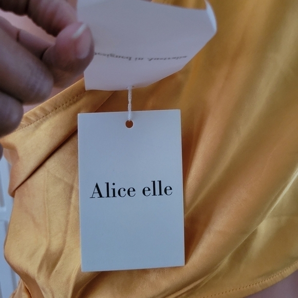 Alice elle NWT Dress size 12. - Picture 8 of 15